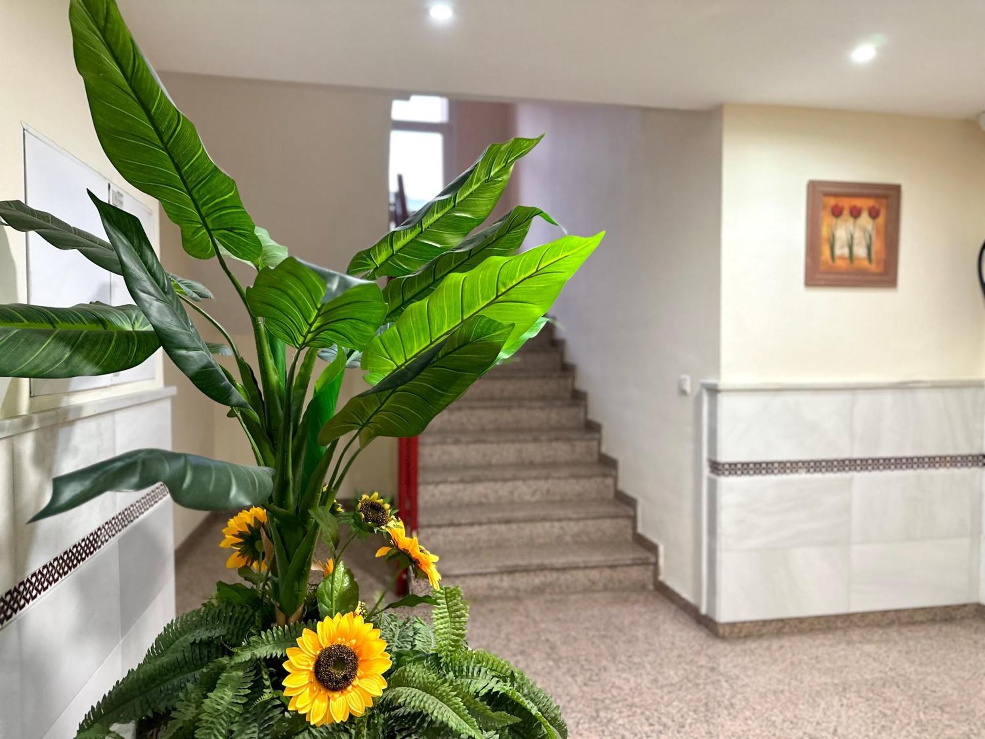 Studio In Costa Del Sol, Sea, Sunshine & Views Fuengirola Extérieur photo